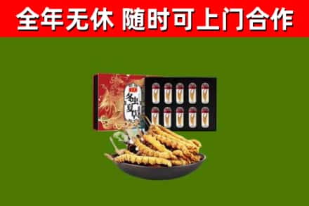 习水回收冬虫夏草价格